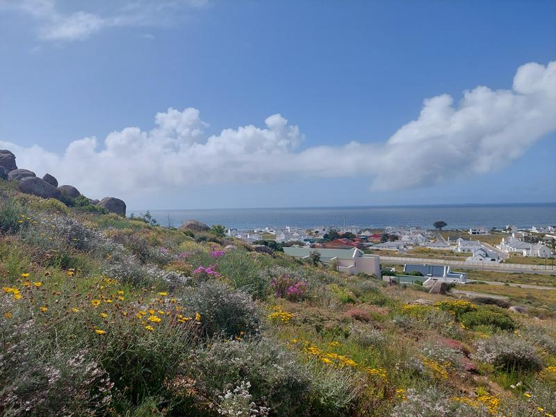 0 Bedroom Property for Sale in Blueberry Hill Western Cape